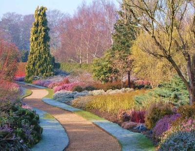 Garden path framed by seasonal planting — evergreens, ornamental grasses, and winter-blooming shrubs