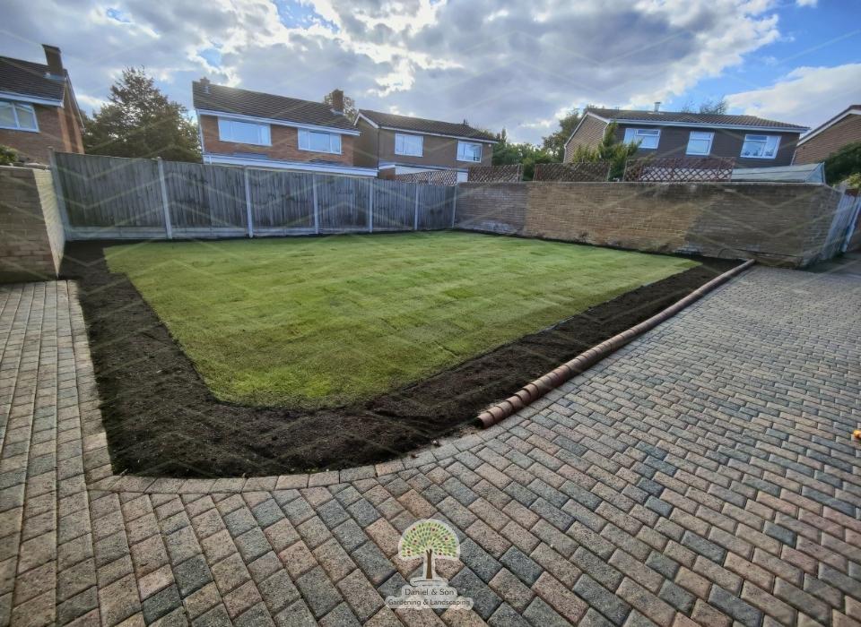 Lawn Revamp: Transformation of Your Outdoor Space
